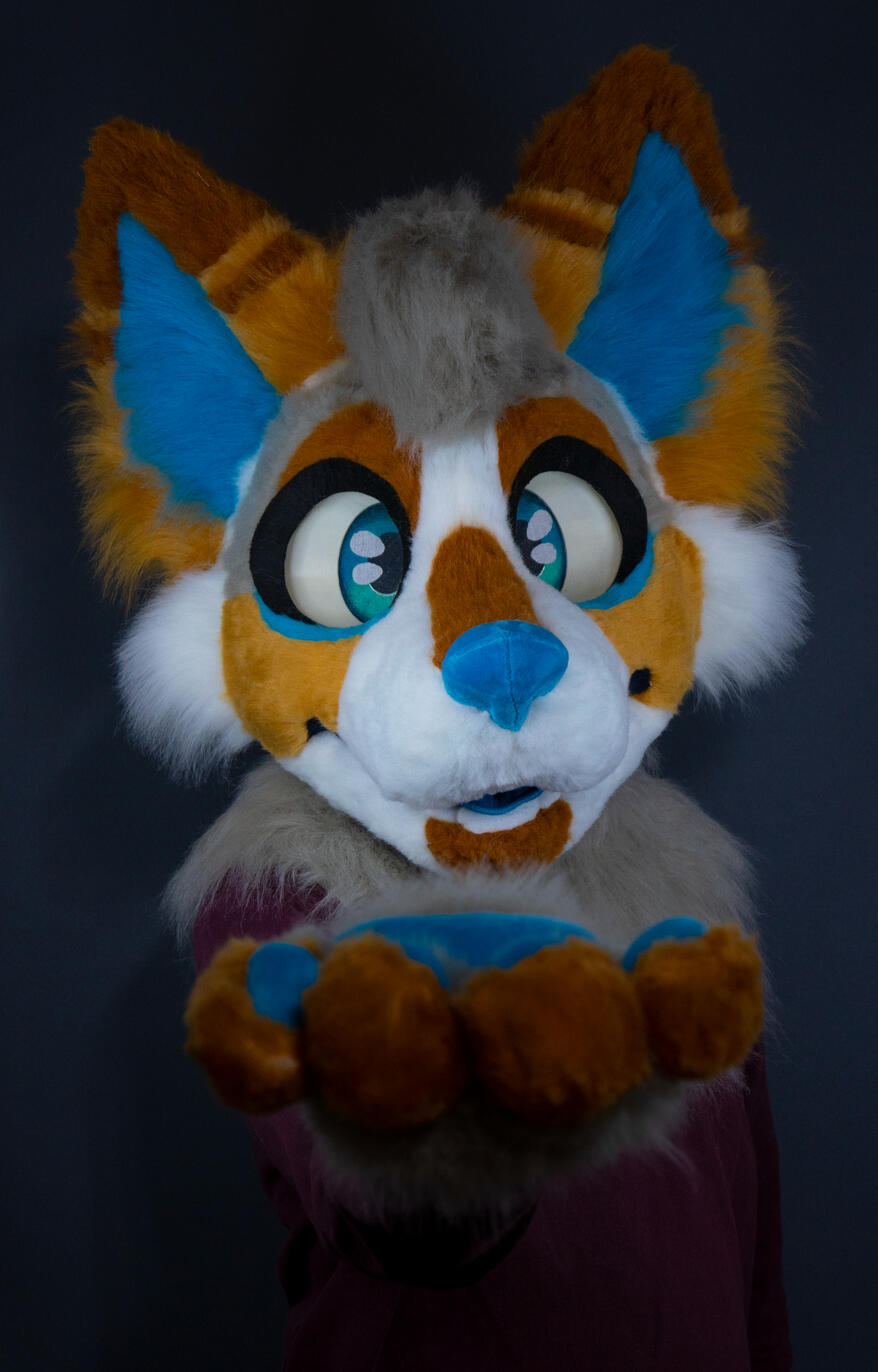 Ko1fu Mini-partial (March)