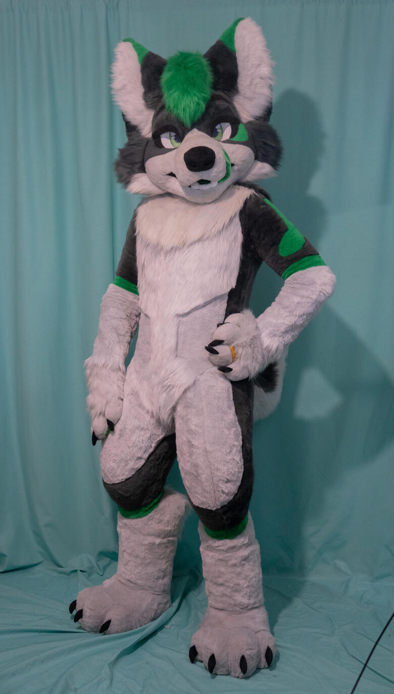 Ace Full slim-digitigrade (december)