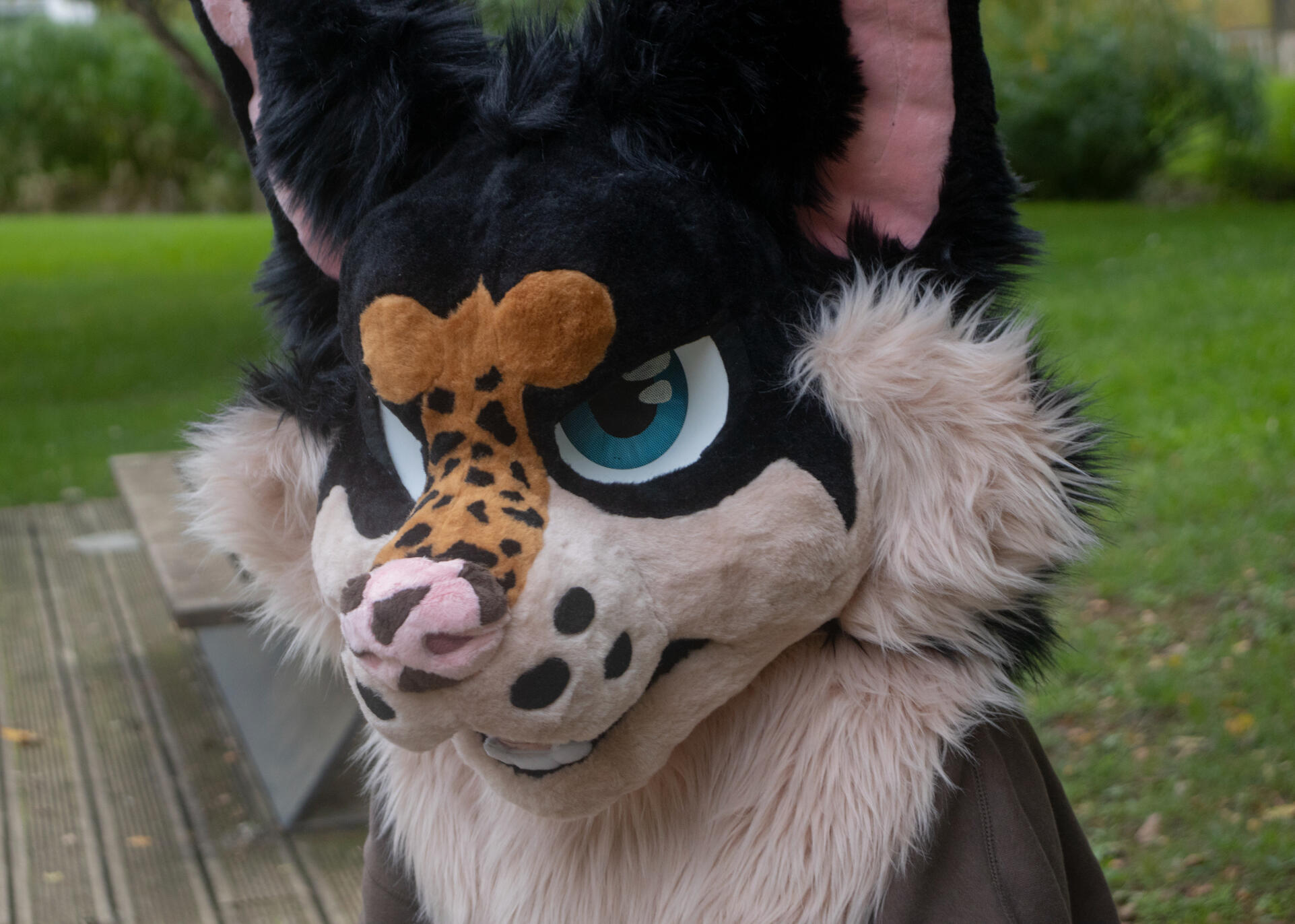 Mutt Head (October)