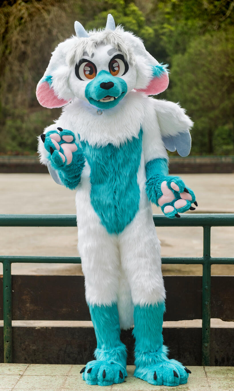 Alaskis Full plantigrade (February)