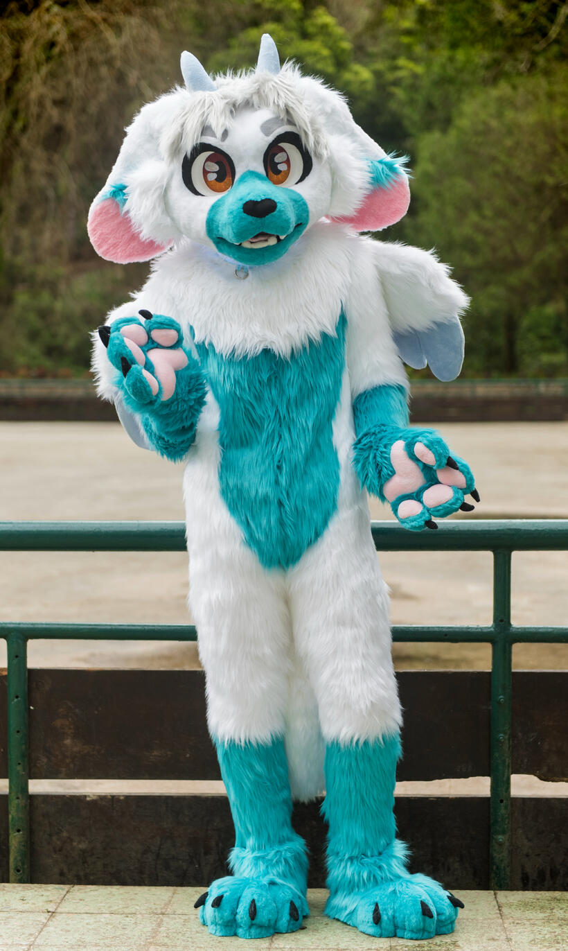 Alaskis Full plantigrade (February)