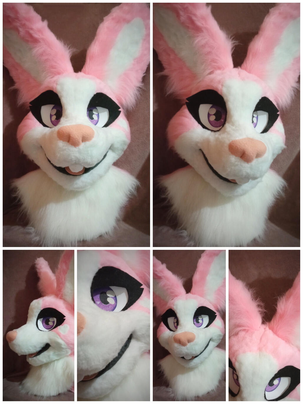 BunnsBunny Head
