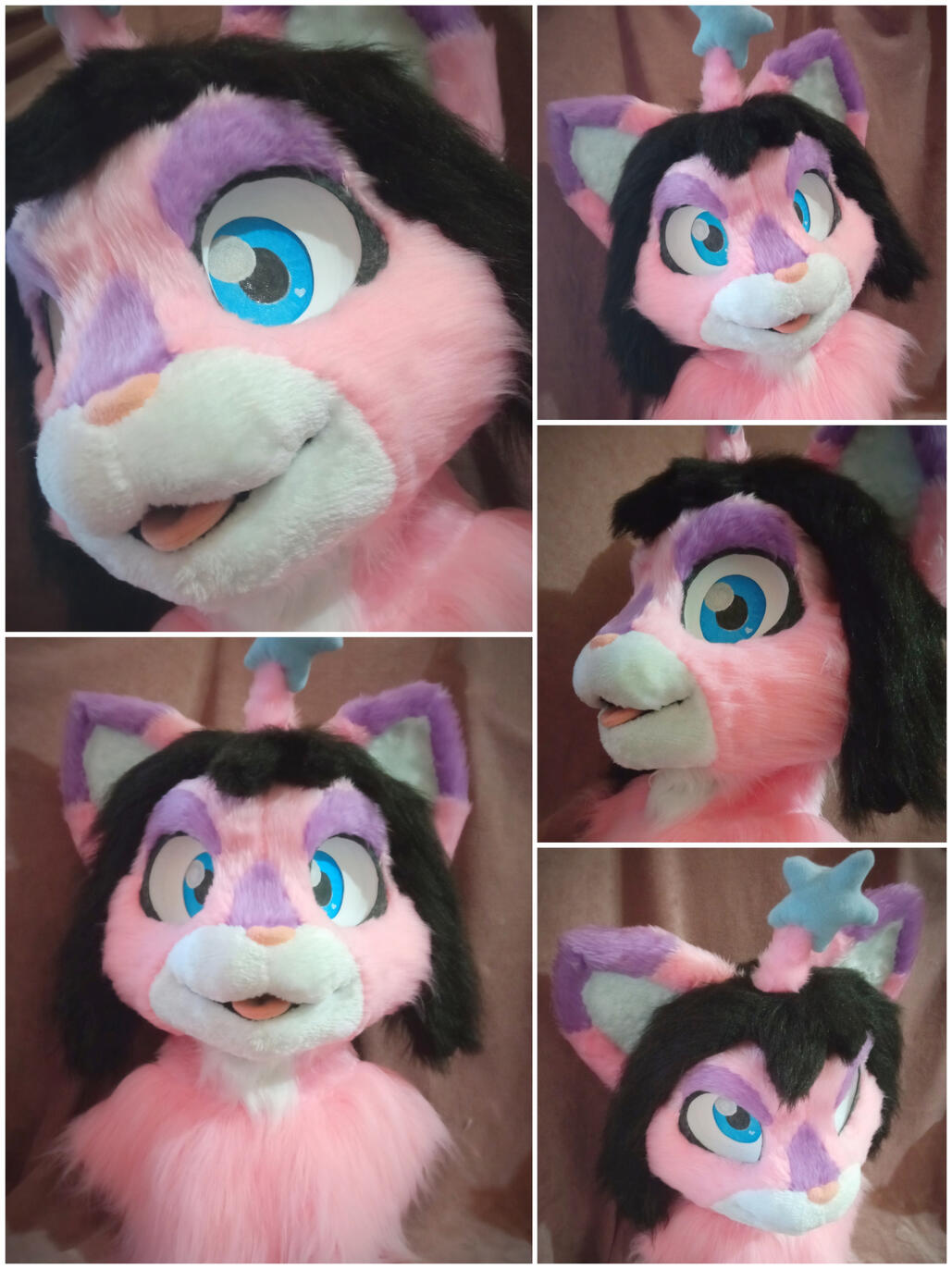 Aurora Head