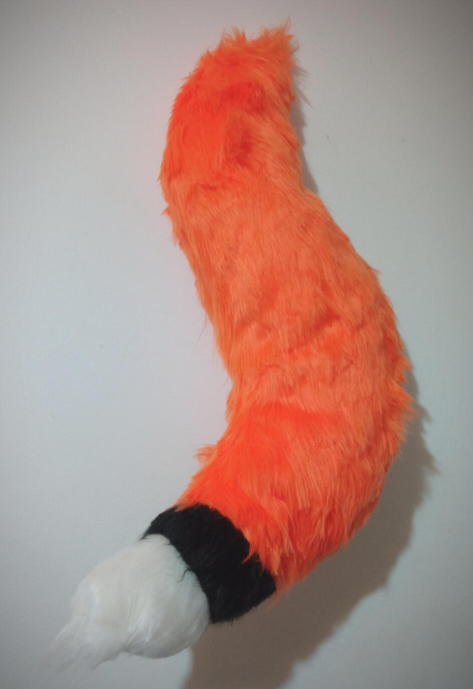 Vanessa tail