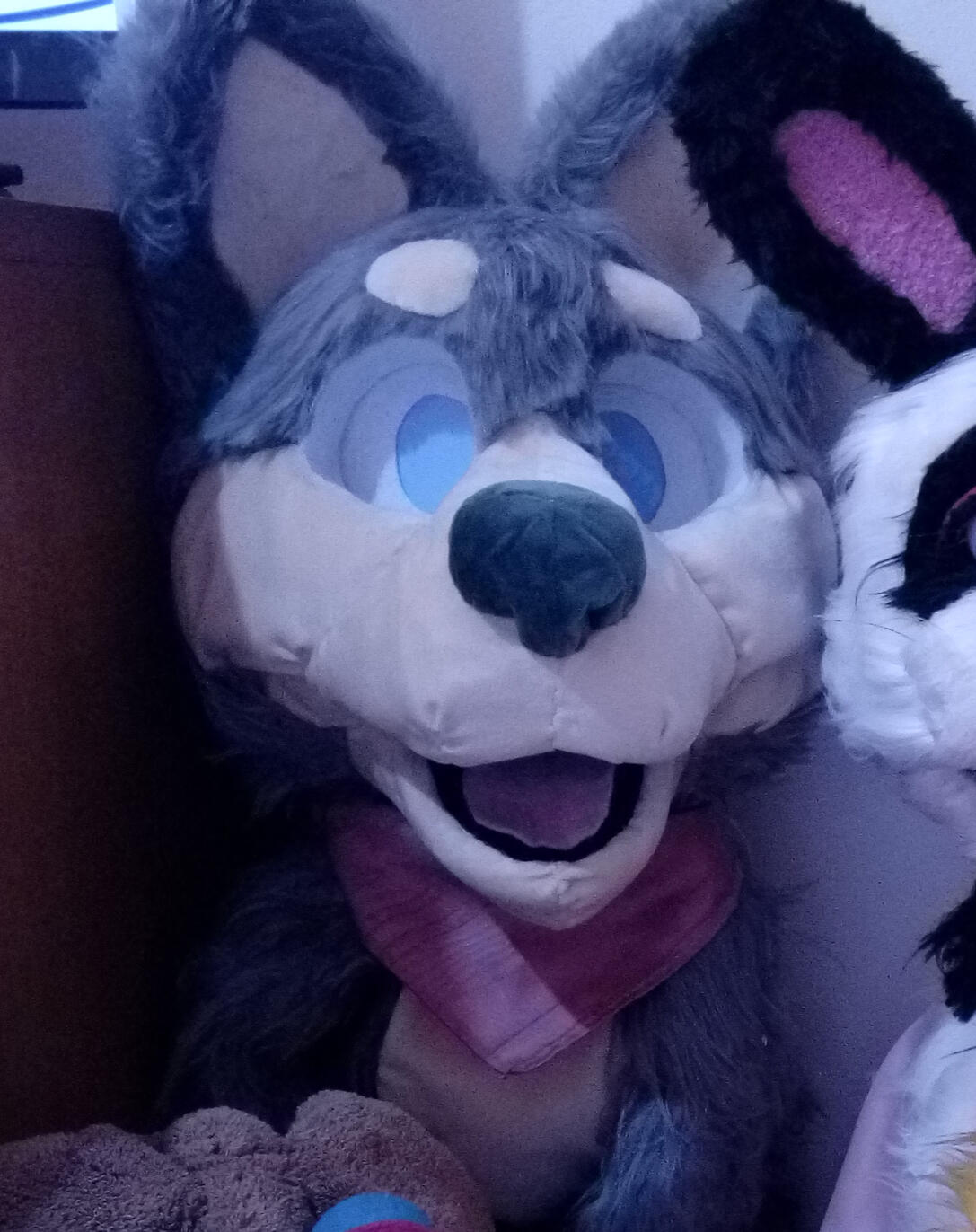 Wolf puppet