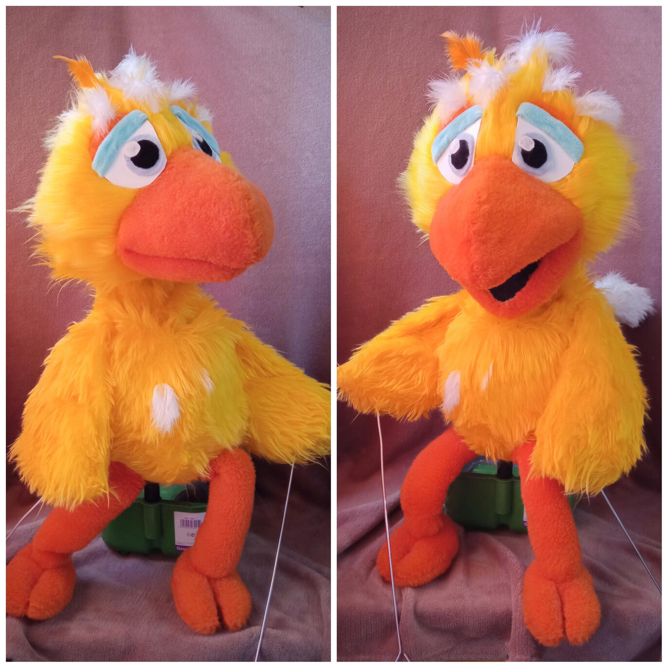 Bird Puppet