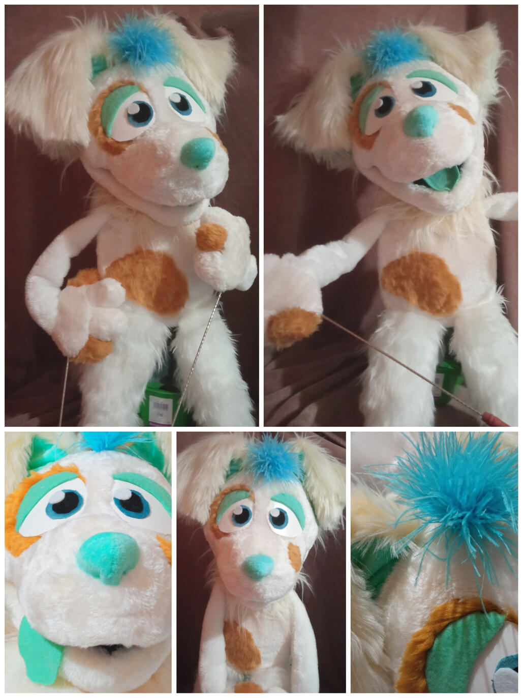 Border Collie puppet