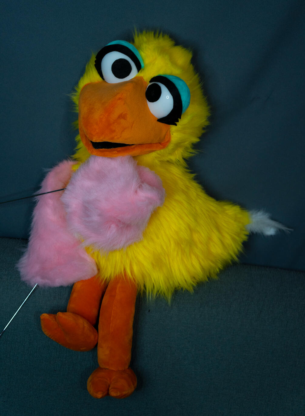 Bird Puppet
